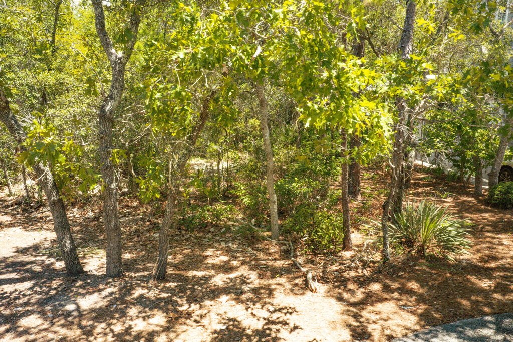 Picture 20