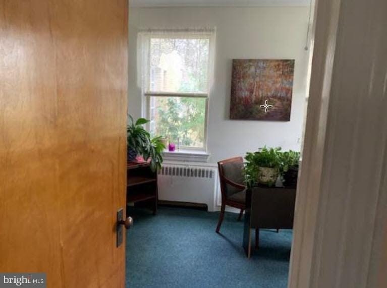 Picture 33