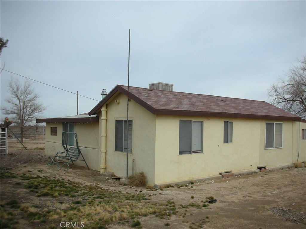 Picture 8