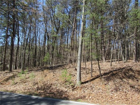Wooded Corner Lot in Big Canoe