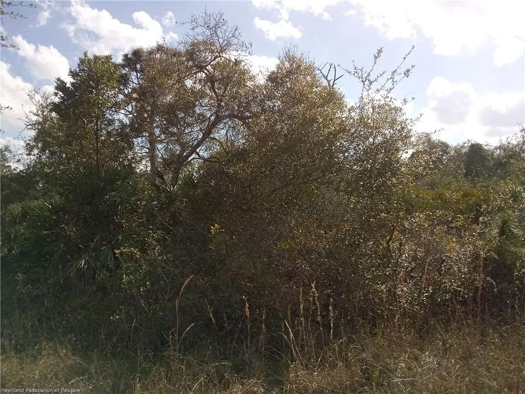 Picture 4