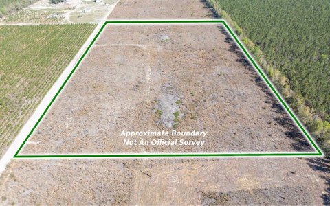 Vacant Land, Live Oak, FL