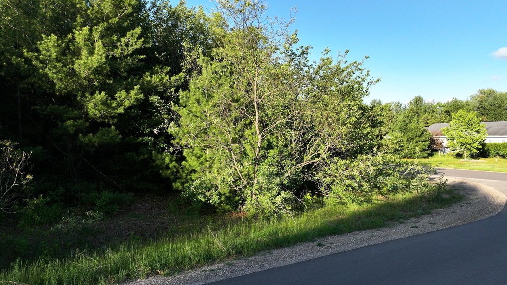 Picture 8