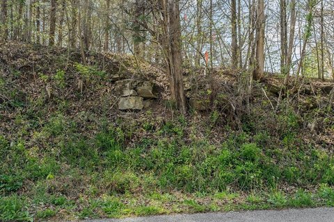 Monroe, TN Wooded Land Parcel
