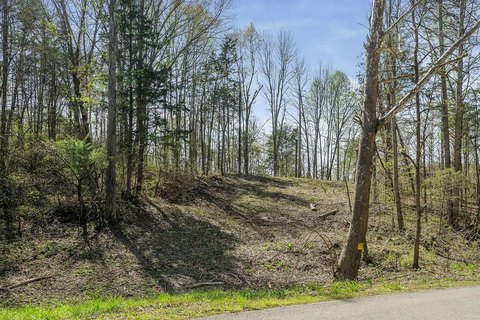 Monroe, TN Wooded Land Parcel