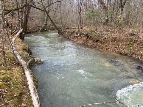 Recreation Land with Creek Frontage