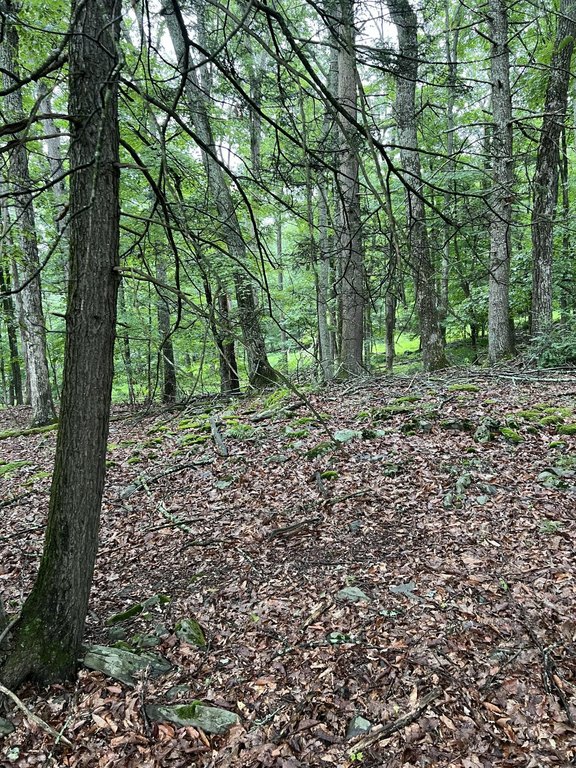 Picture 30