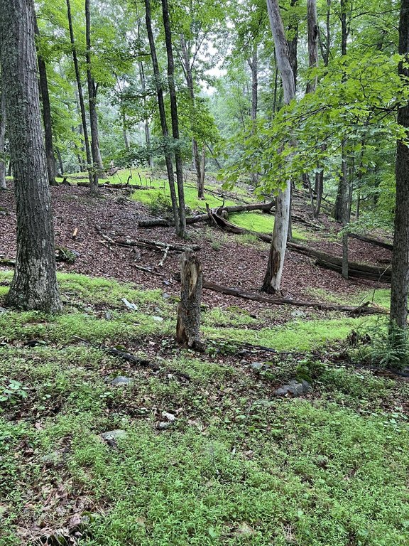 Picture 25