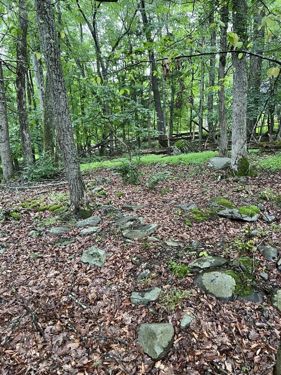 Picture 29