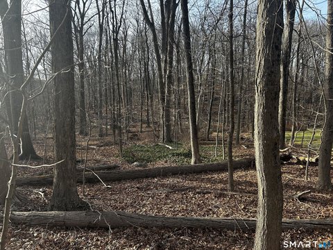 Land in Aunt Hack Neighborhood