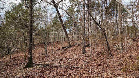 Bull Shoals Acreage Lots