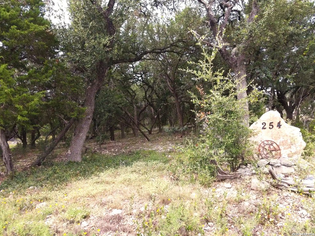 Picture 20