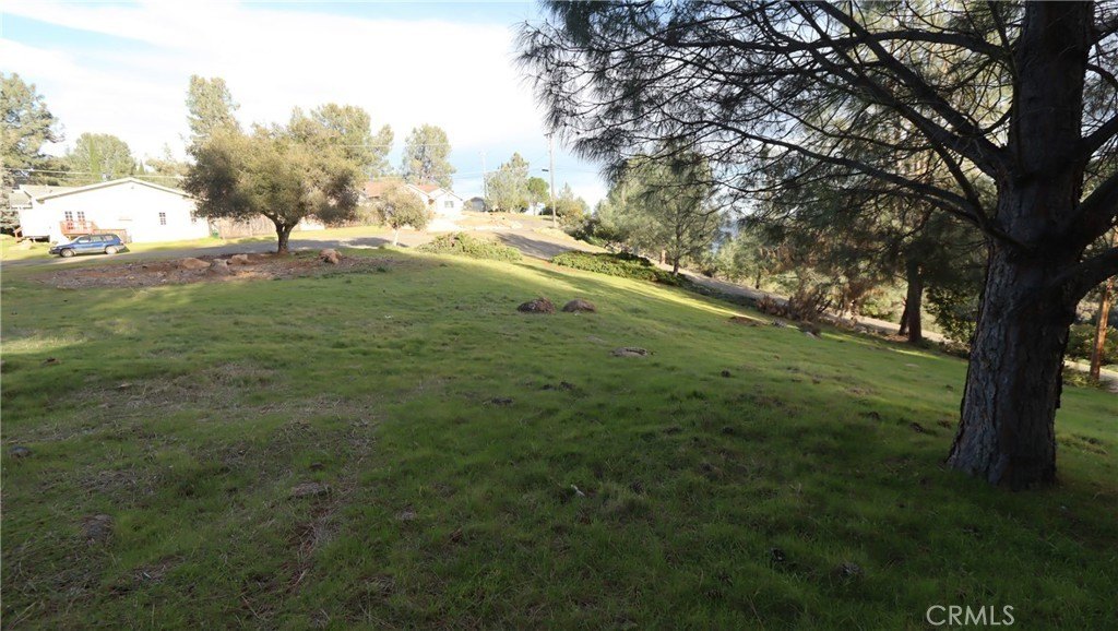 Picture 10