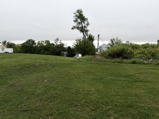 Picture 10