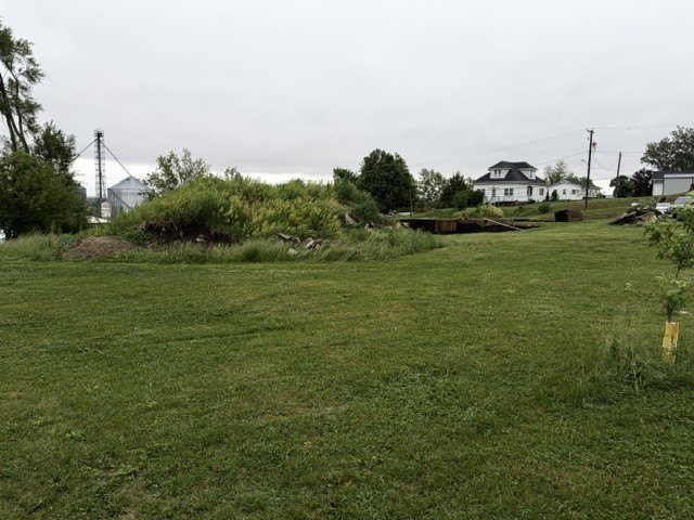 Picture 11