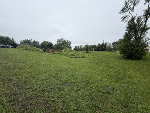 Picture 2