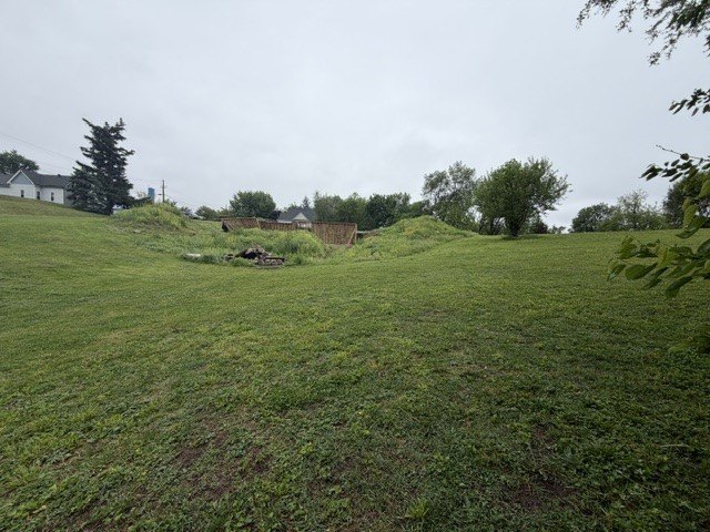 Picture 3