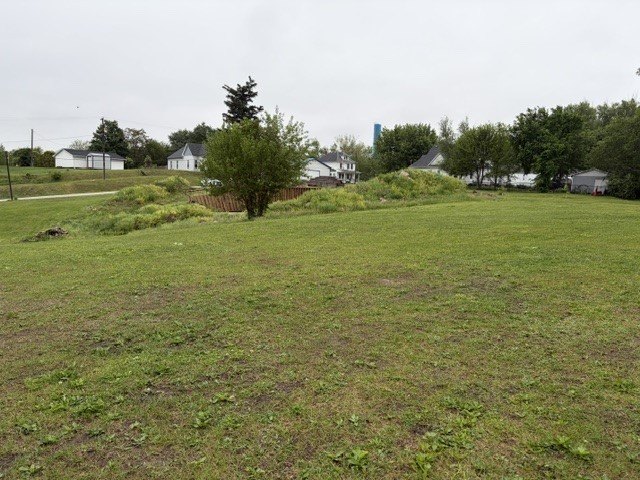 Picture 5