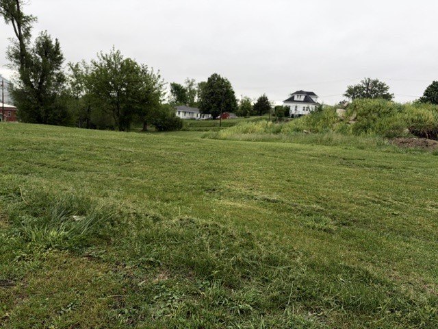 Picture 8