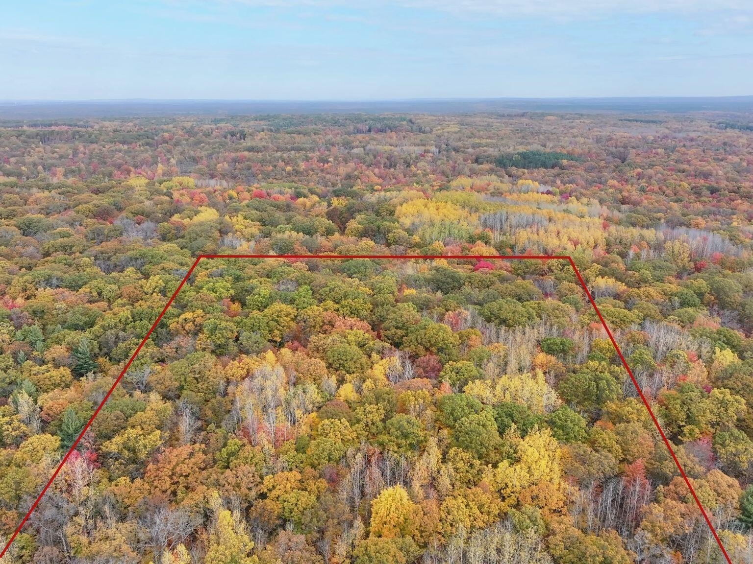 10 Acres in Manistee Forest