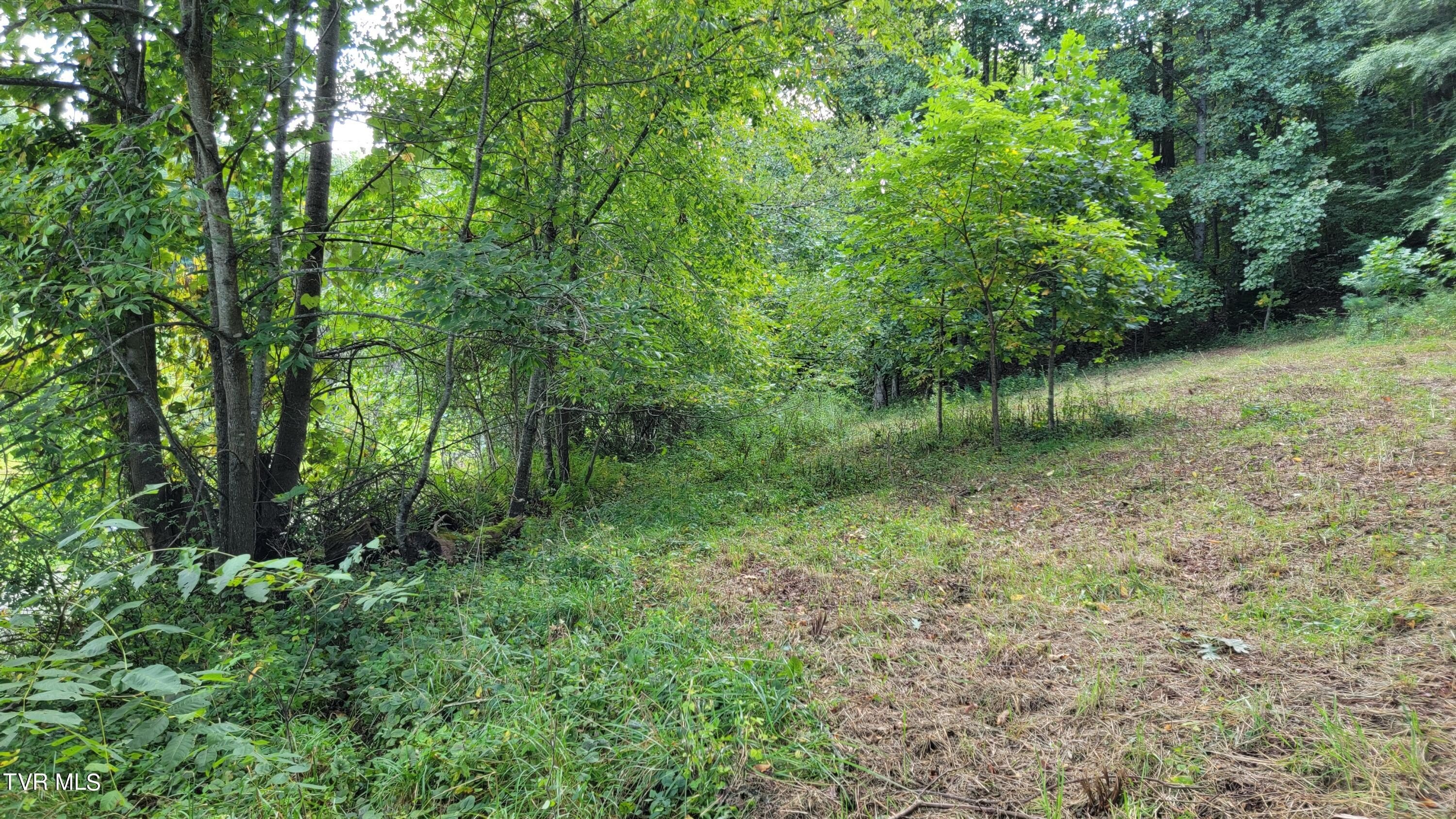 Unrestricted Lot with Mountain Views