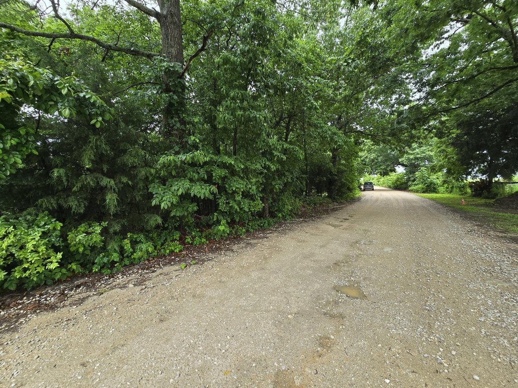 Picture 14