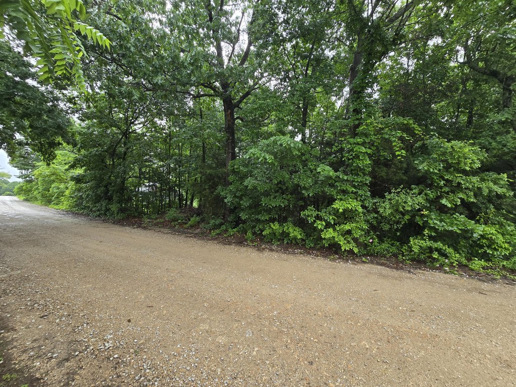 Picture 21