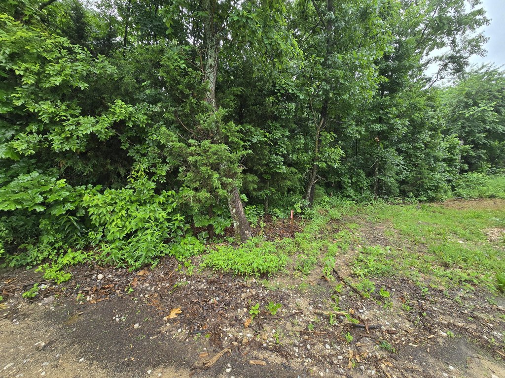Picture 16