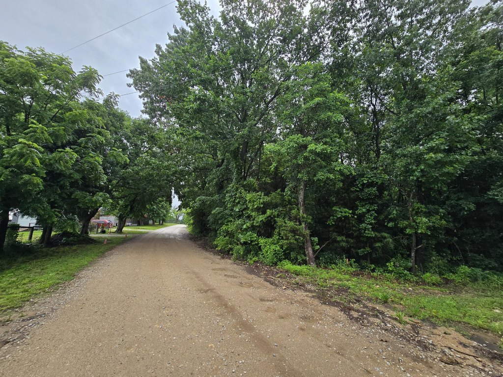Picture 25