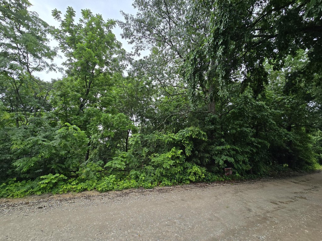 Picture 18