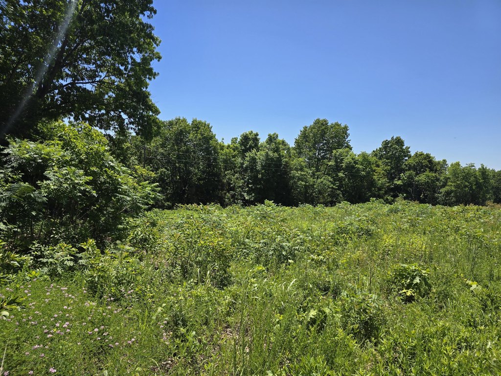 Picture 4