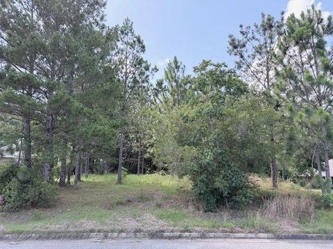LAND - Daphne, AL