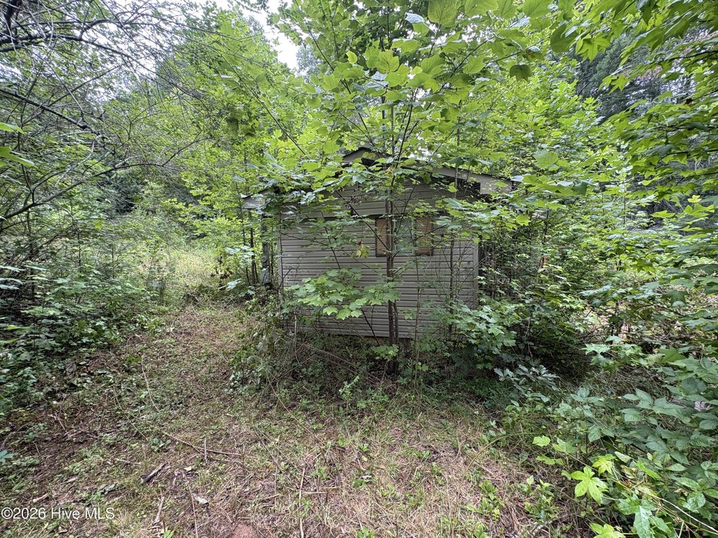 Picture 3
