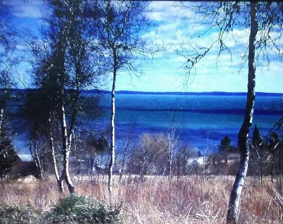 Picture 7