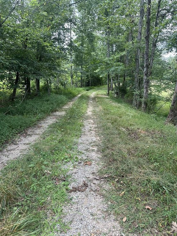 Picture 18