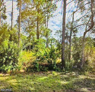 LAND - Lehigh Acres, FL