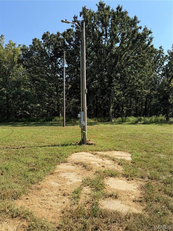 Picture 4