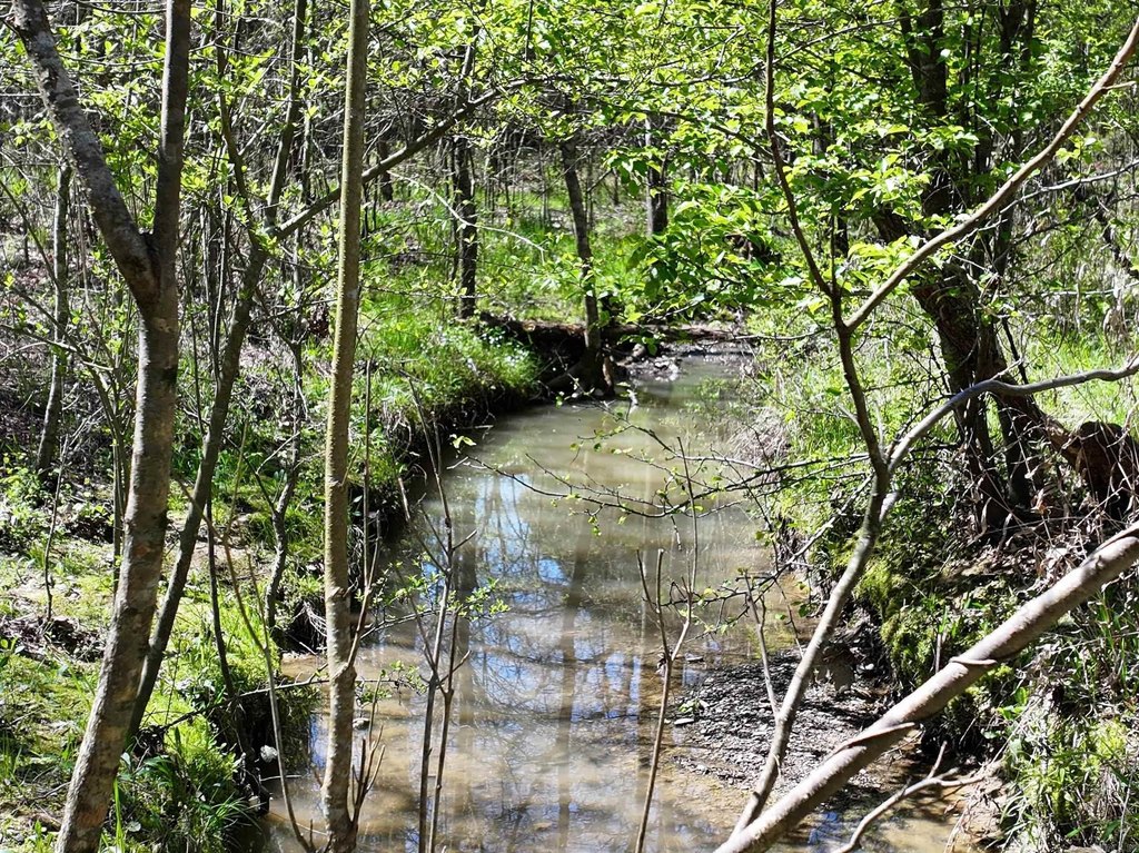 Picture 7