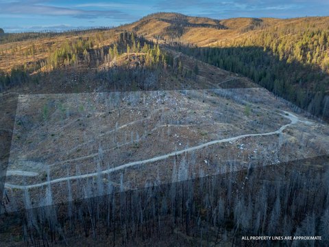 20 Acres with Mountain Views