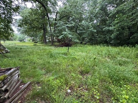 LAND - WILD ROSE, WI