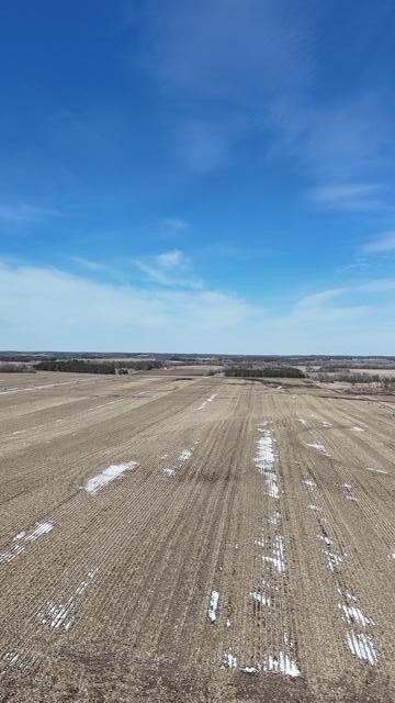 Picture 53