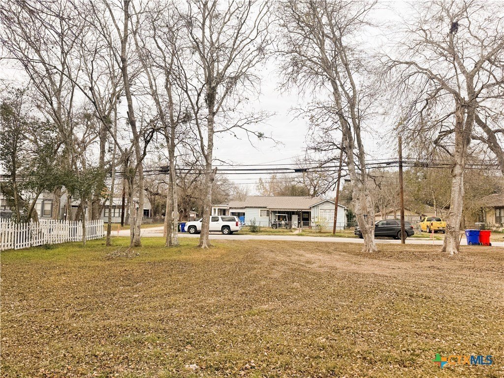 Picture 9