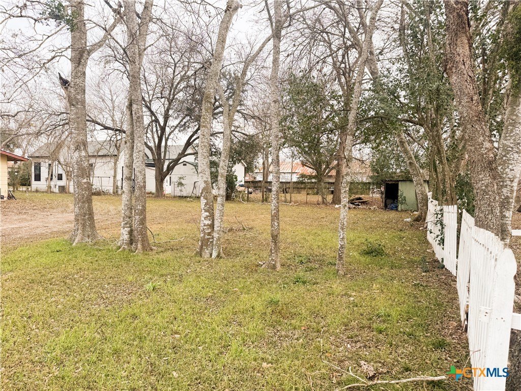Picture 6