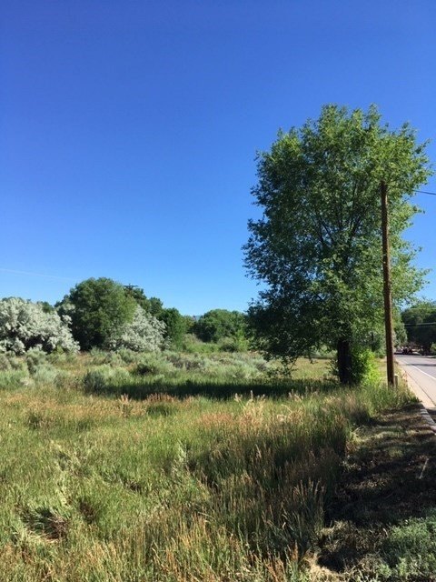 Land Near Taos Plaza