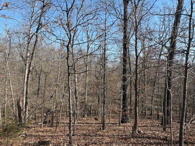Picture 8