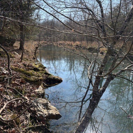 Picture 13
