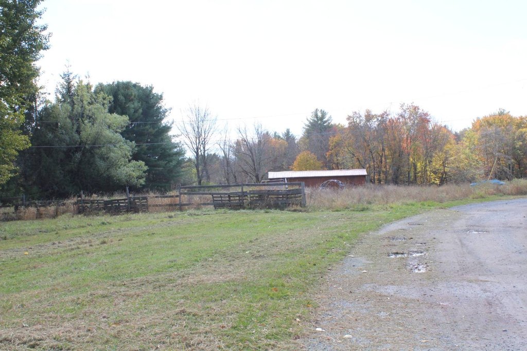 Picture 21