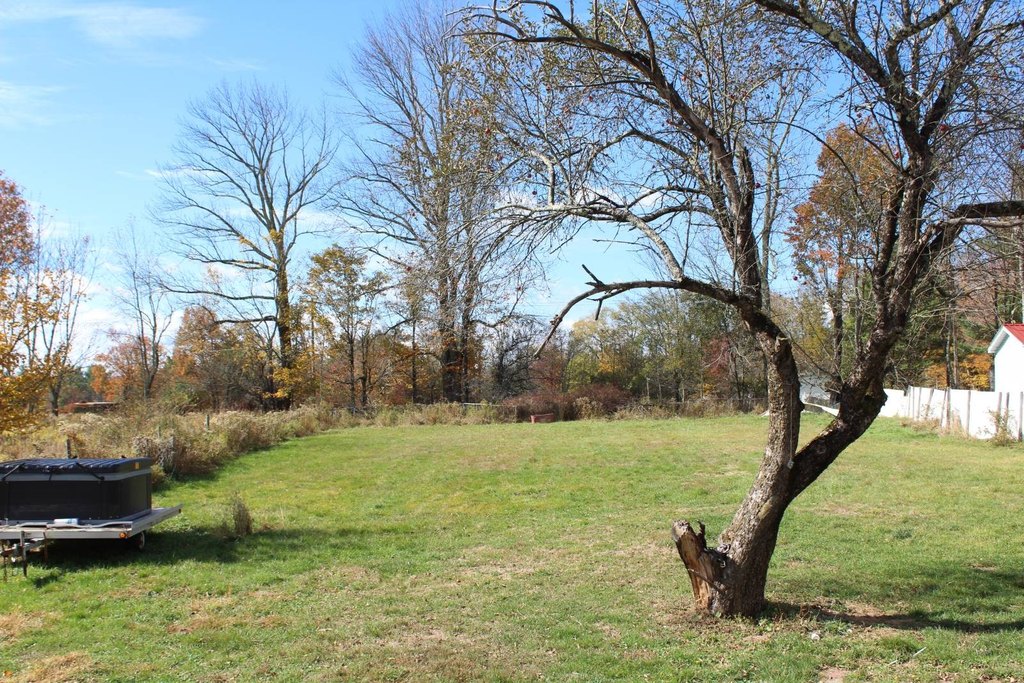 Picture 19