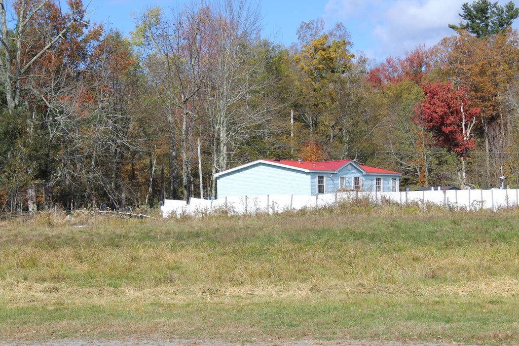 Picture 16