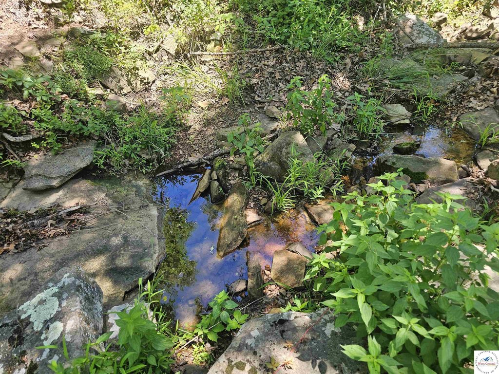 Picture 27